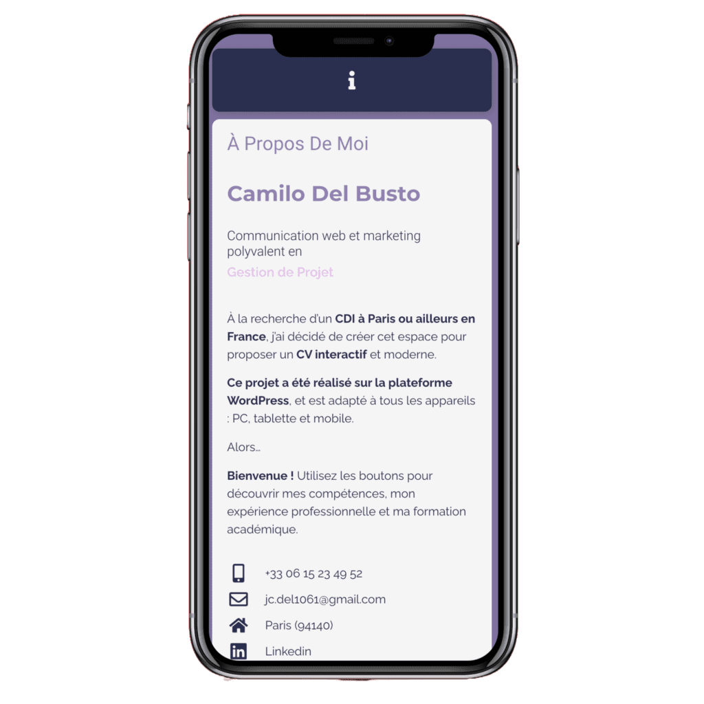 phone mobile cv en ligne